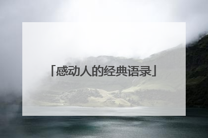 感动人的经典语录