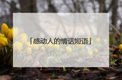感动人的情话短语