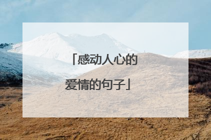 感动人心的爱情的句子