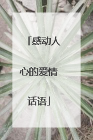 感动人心的爱情话语