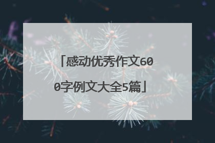 感动优秀作文600字例文大全5篇