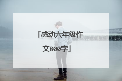 感动六年级作文800字