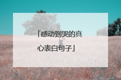感动到哭的真心表白句子