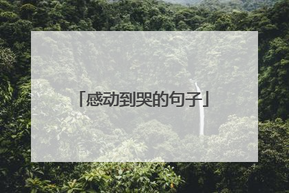 感动到哭的句子
