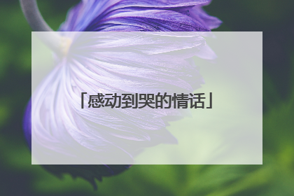 感动到哭的情话