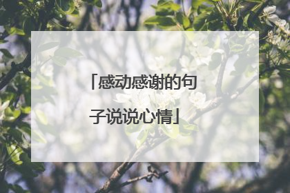 感动感谢的句子说说心情