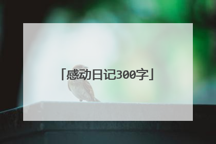 感动日记300字