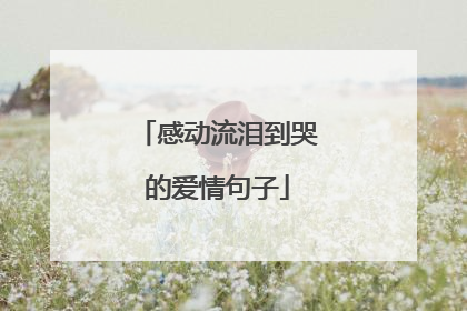 感动流泪到哭的爱情句子