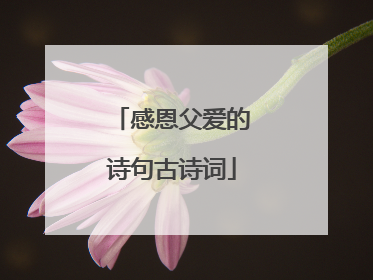 感恩父爱的诗句古诗词