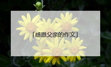 感恩父亲的作文