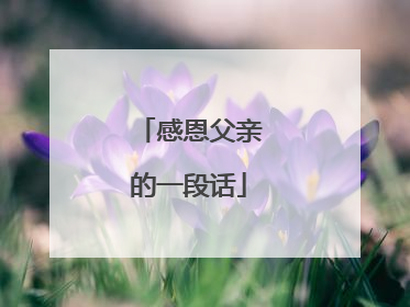感恩父亲的一段话