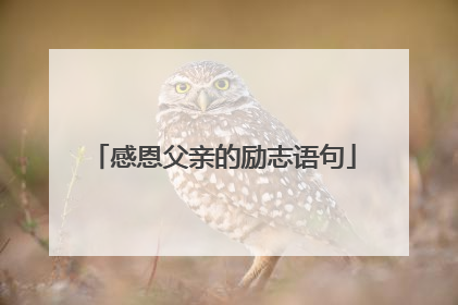 感恩父亲的励志语句