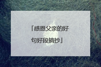 感恩父亲的好句好段摘抄