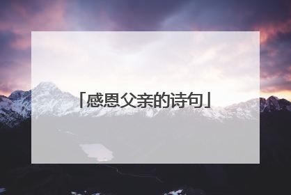 感恩父亲的诗句