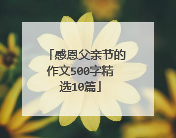 感恩父亲节的作文500字精选10篇
