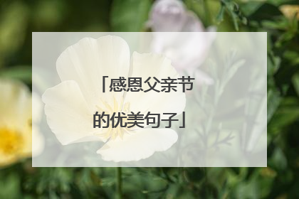 感恩父亲节的优美句子