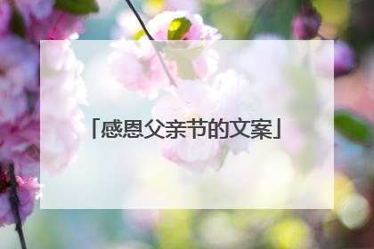 感恩父亲节的文案