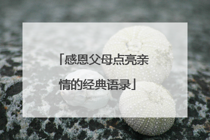 感恩父母点亮亲情的经典语录