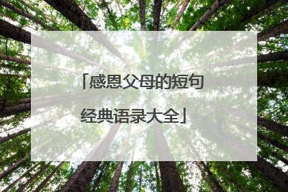 感恩父母的短句经典语录大全