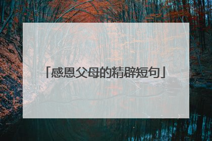 感恩父母的精辟短句