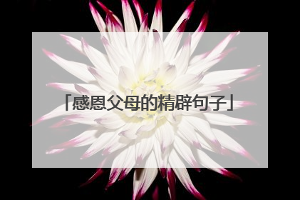 感恩父母的精辟句子