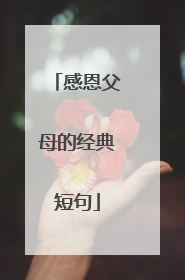 感恩父母的经典短句