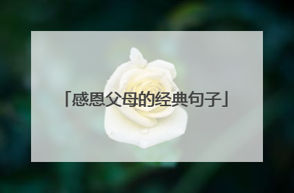 感恩父母的经典句子