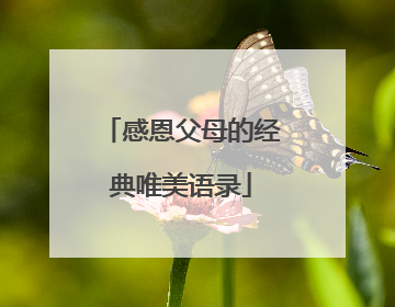 感恩父母的经典唯美语录