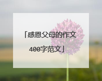 感恩父母的作文400字范文