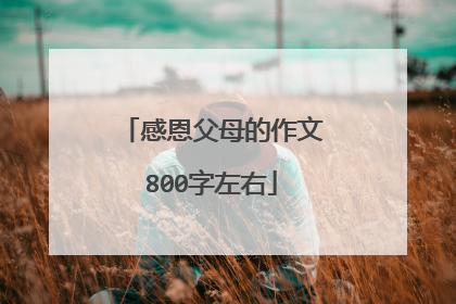 感恩父母的作文800字左右