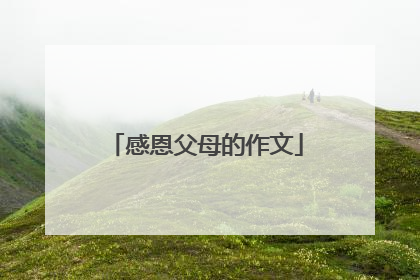 感恩父母的作文