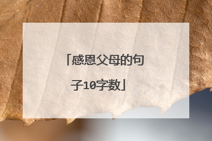 感恩父母的句子10字数