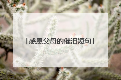 感恩父母的催泪短句