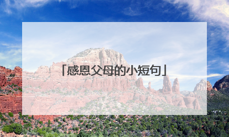 感恩父母的小短句