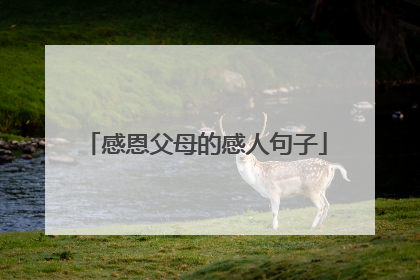 感恩父母的感人句子