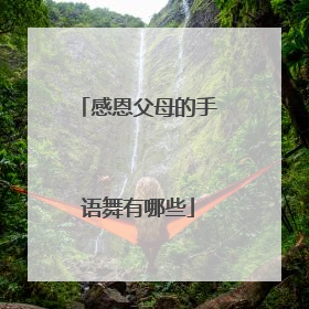 感恩父母的手语舞有哪些