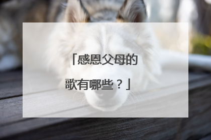 感恩父母的歌有哪些？