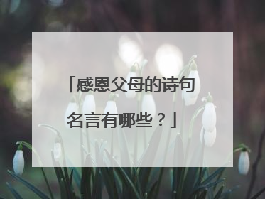 感恩父母的诗句名言有哪些?