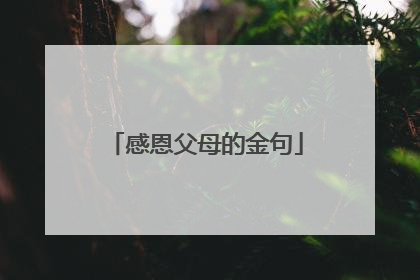 感恩父母的金句
