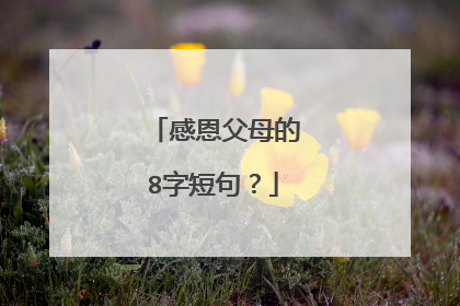 感恩父母的8字短句?