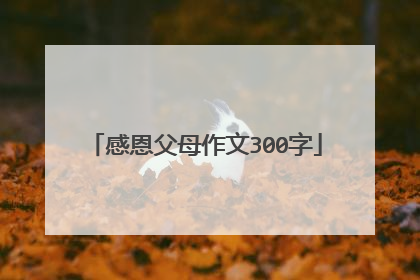 感恩父母作文300字
