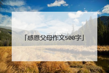 感恩父母作文500字