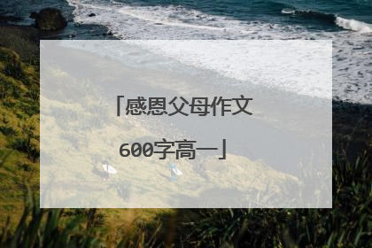 感恩父母作文600字高一