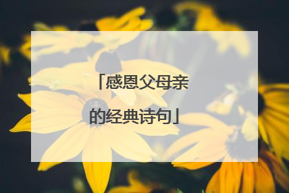 感恩父母亲的经典诗句