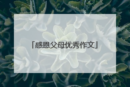 感恩父母优秀作文