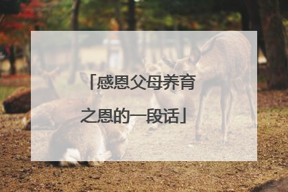 感恩父母养育之恩的一段话