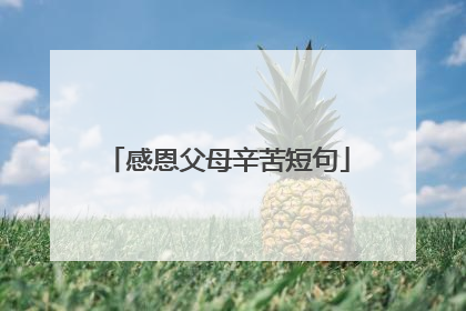 感恩父母辛苦短句