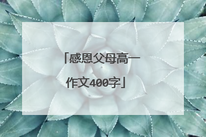 感恩父母高一作文400字
