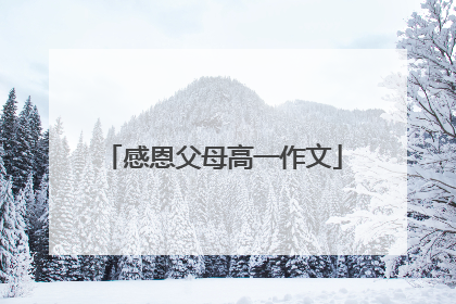 感恩父母高一作文
