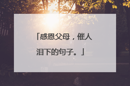 感恩父母,催人泪下的句子。